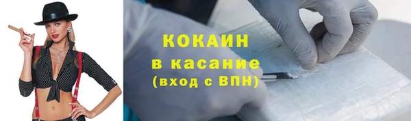 стаф Алзамай